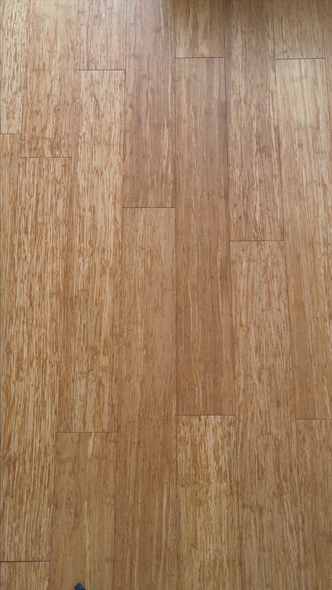 The Shred. Giveaway.